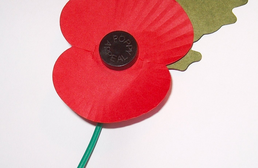 The Royal British Legion's Poppy Appeal